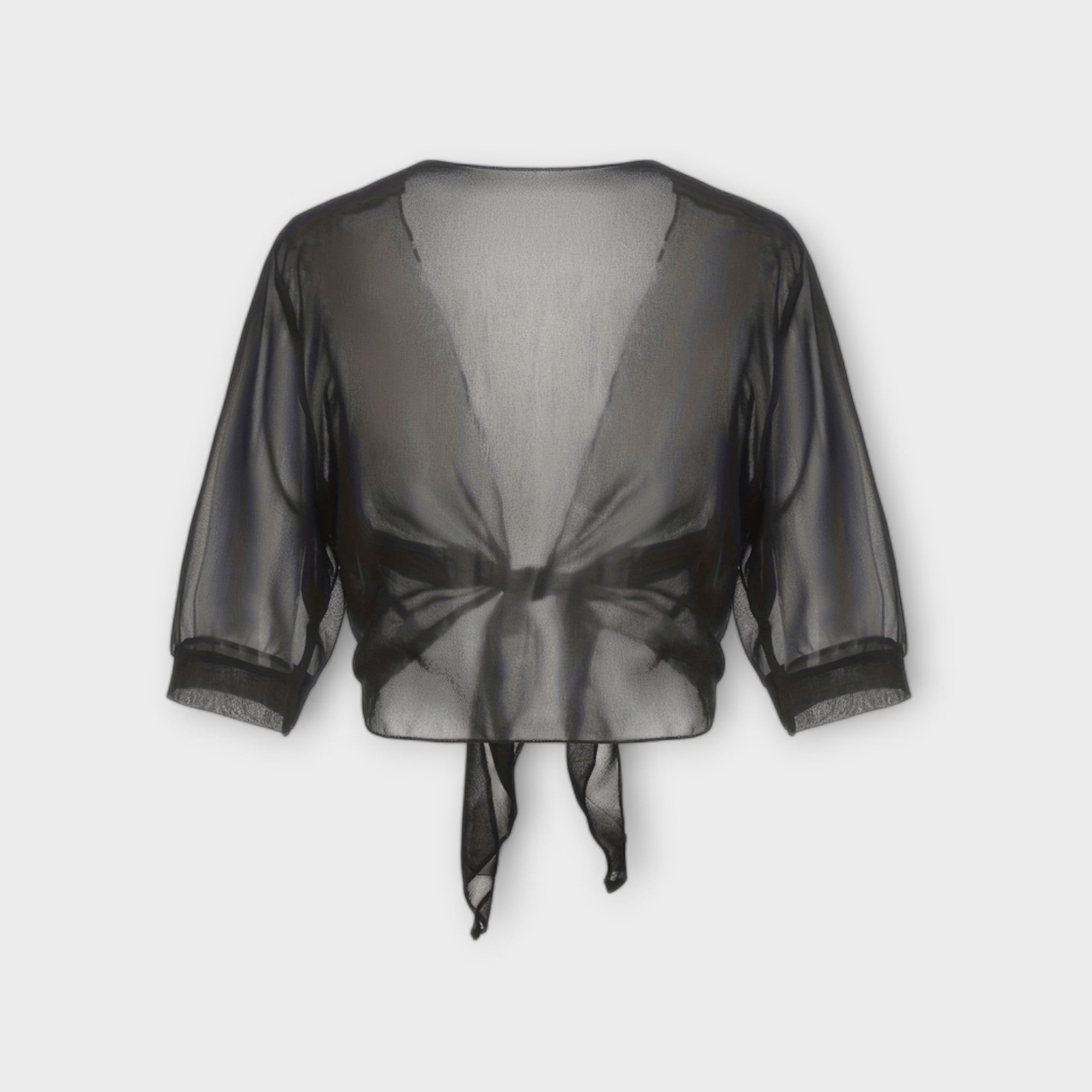 Elegant Sheer Wrap Top
